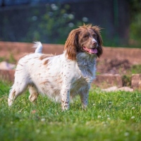 nell_058