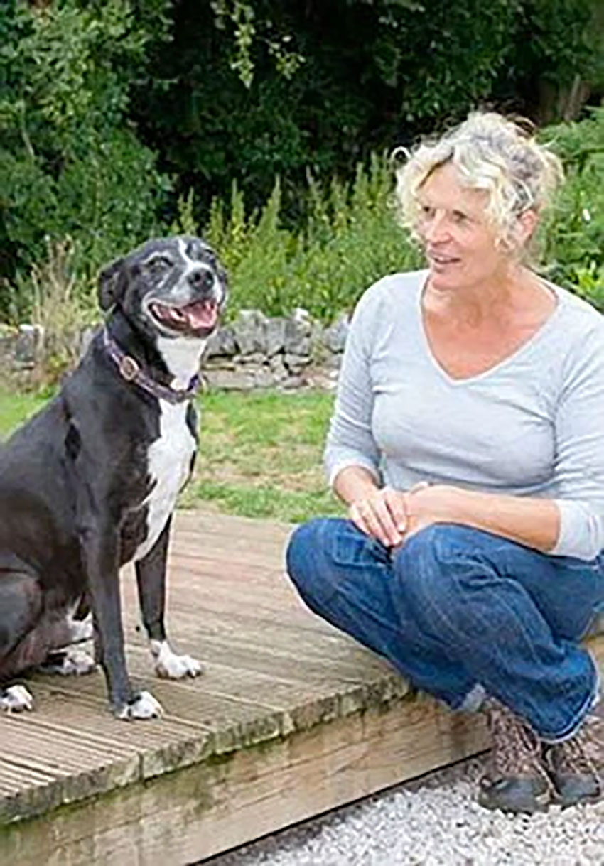 Rehab and Rehome,Devon Dog Rescue,adoption