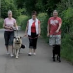 Devon Dog Rescue, rehoming dogs, devon, dog behaviour, Devon Dog Behaviour, Dog Rescue, dog rescue centre in Devon, dog adoption, rehabiliitation, rehome, rehoming, rescue dogs, dogs looking for a home